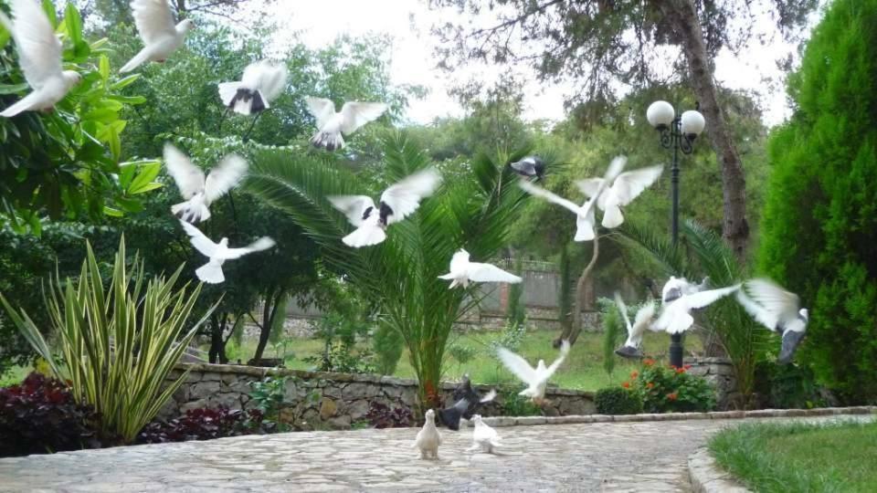 Park Marku Shkoder